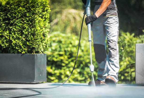 Best Driveway Cleaning and Restoration in South Run, VA