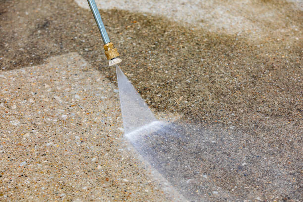 Best Roof Cleaning and Mildew Removal in South Run, VA